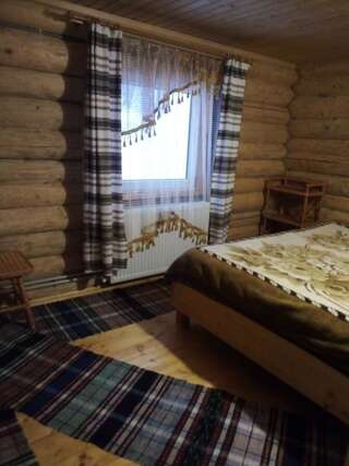 Мотели Cottage Лісовий Bukovets Улучшенный двухместный номер с 1 кроватью-8